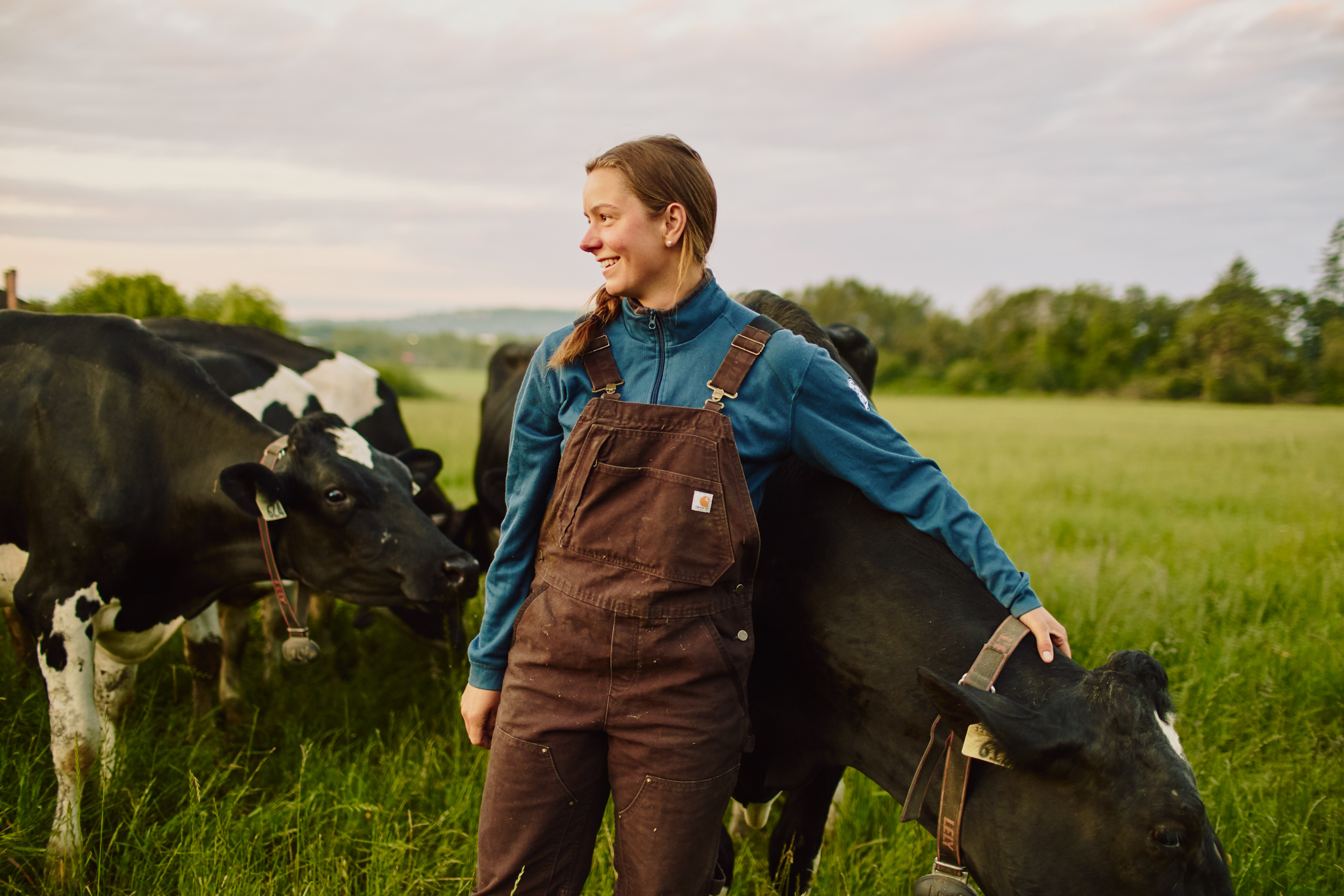 Young woman dairy farmer smiling with a dairy cow in the field