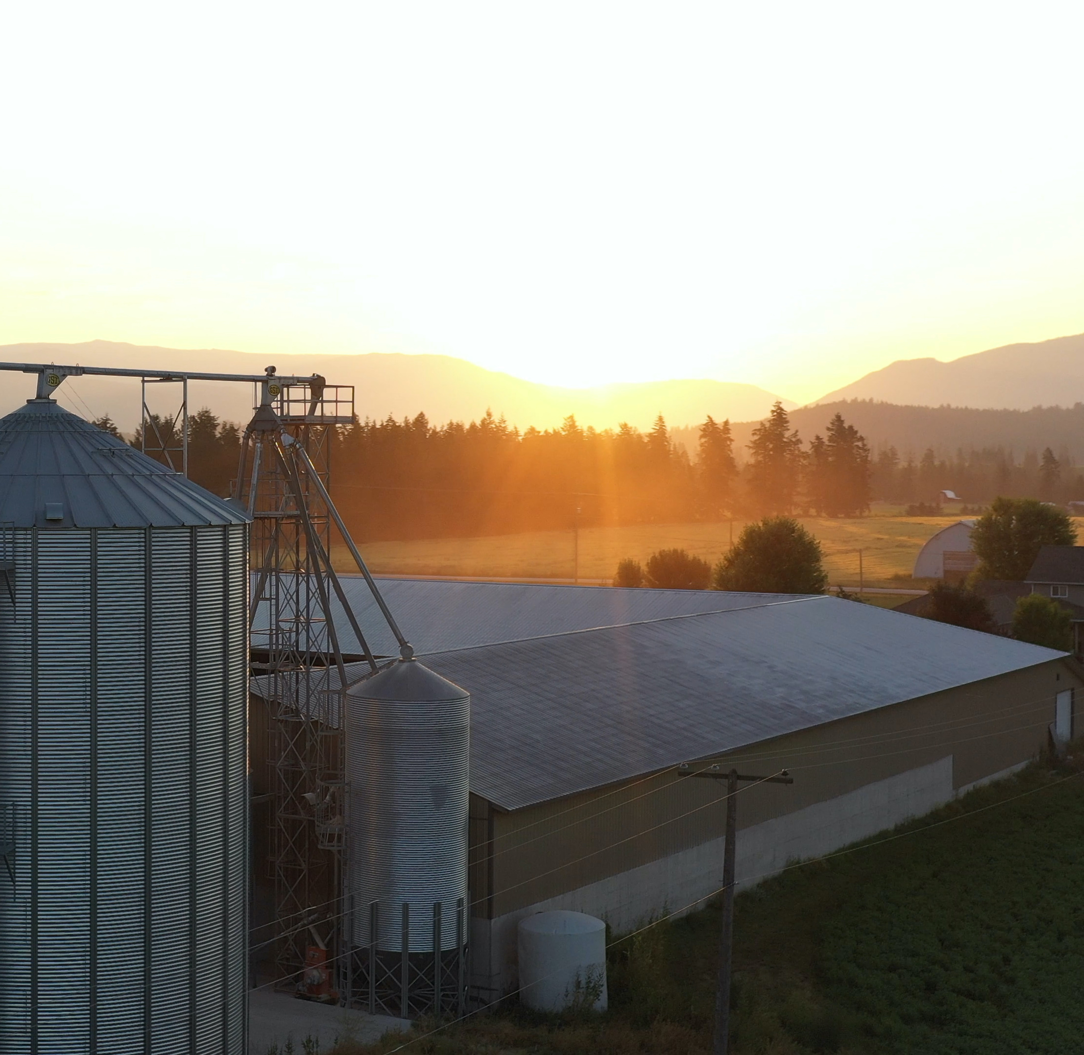 Dairy barn and grain silo at sunrise