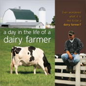 A Day in the Life of a Dairy Farmer