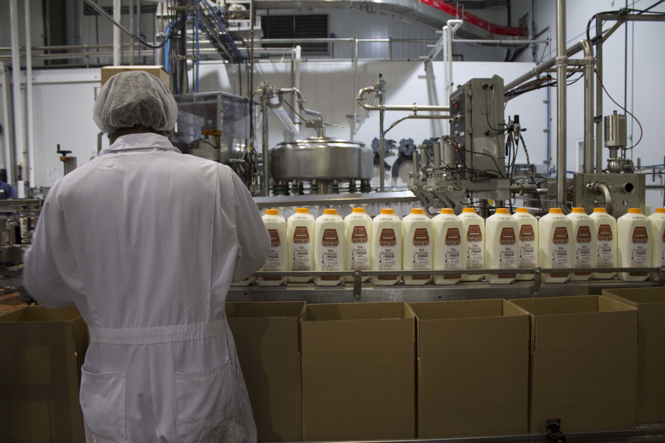 Milk is bottled and ready to be packed and shipped to stores.