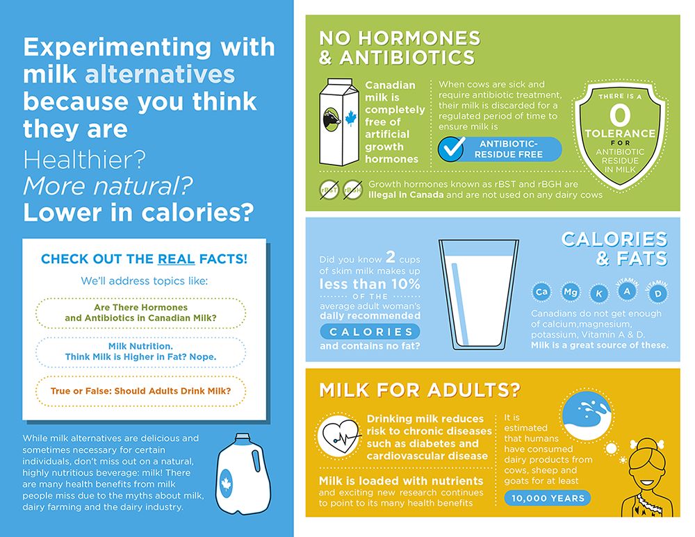 Infographic for Milk Alternatives Campaign-Experimenting with Milk Alternatives