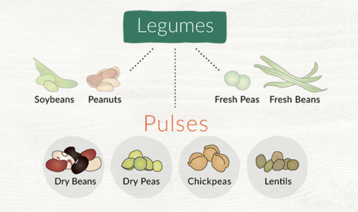 Types of legumes