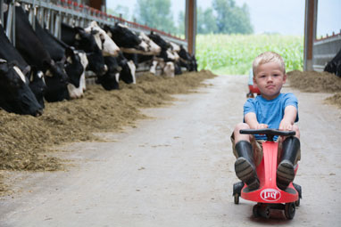 young boy playing in dairy barn