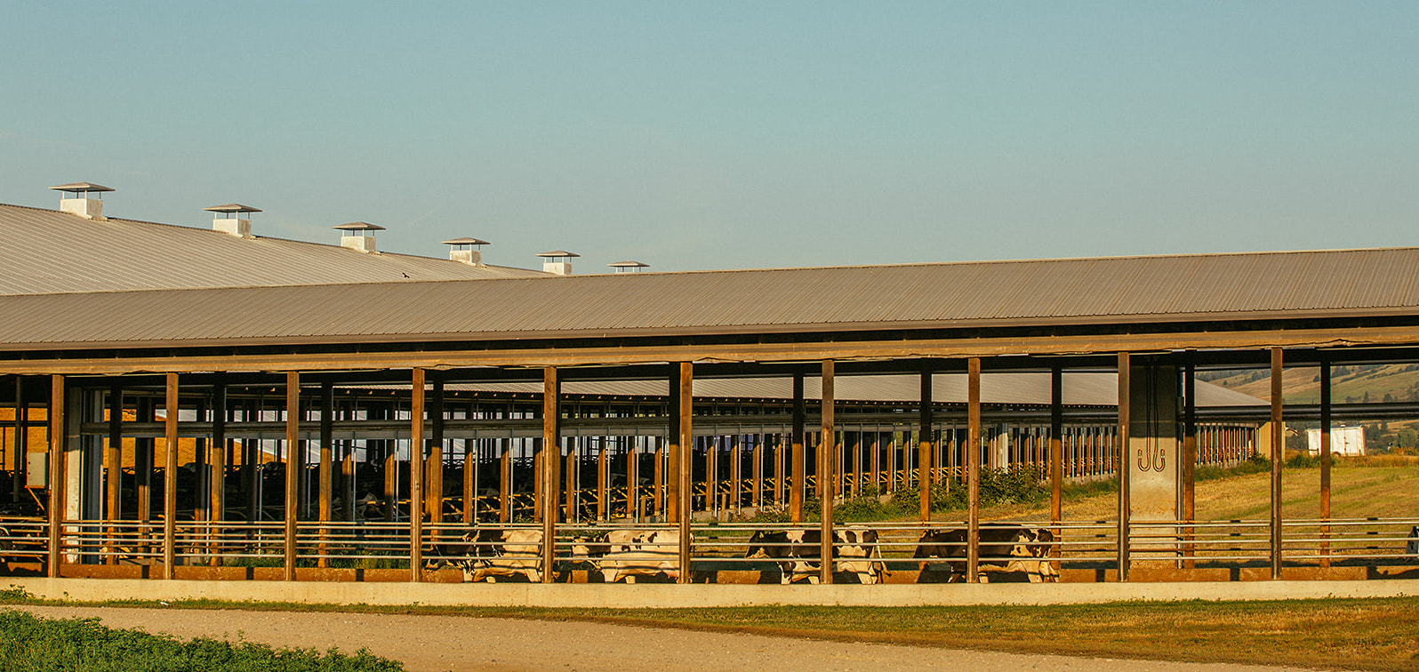 Greenbelt Veterinary Services Partnered Event—November 2022 BC Dairy