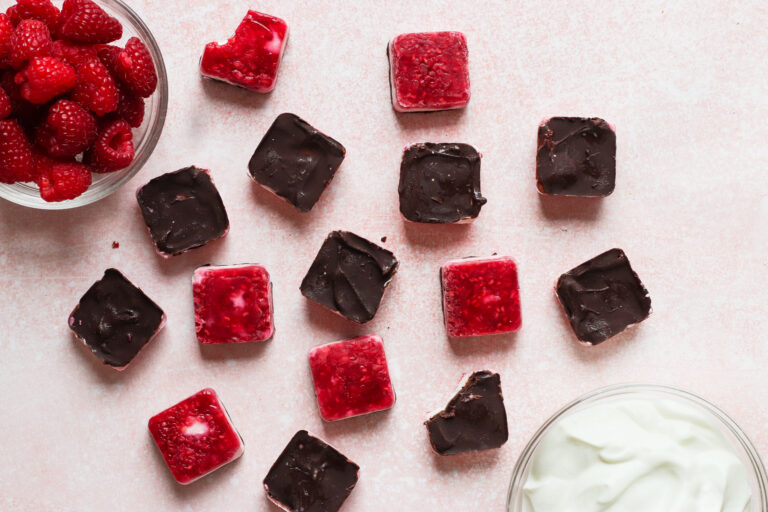 raspberry chocolate yogurt bites